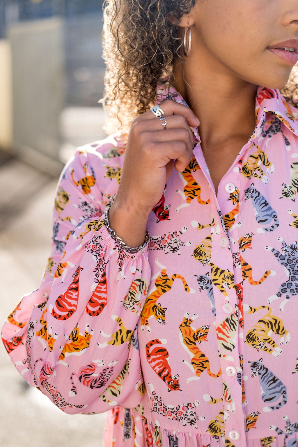 The Carine Blushing Tigers